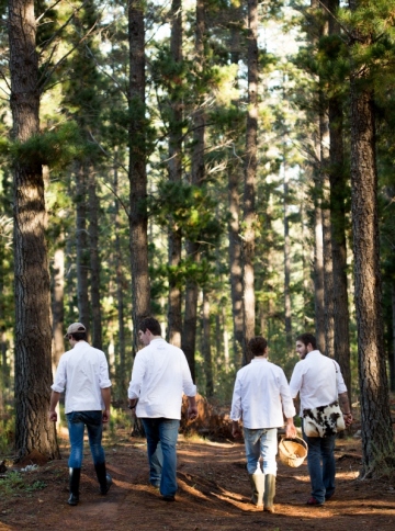 Chefs foraging for mushrooms